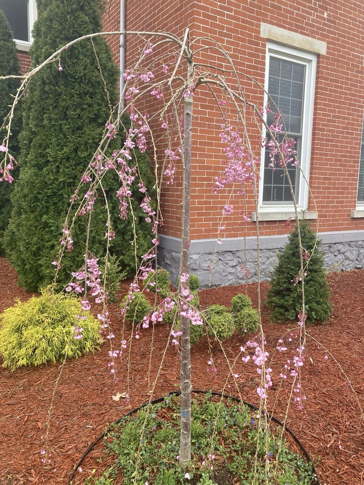 C & G Landscaping
