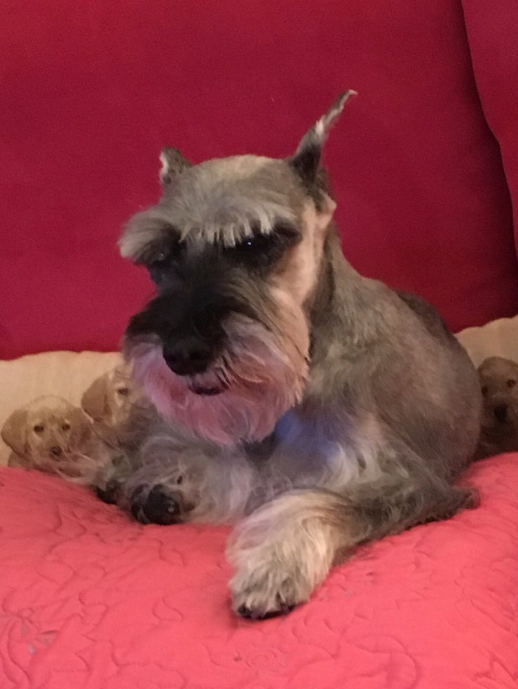 Granny Grunt's Grooming