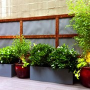 Garden Design Nyc bedford stuyvesant nyc garden design Photo Of Amber Freda Home And Garden Design New York Ny United States Garden Design Nyc amber freda home garden design 9 Photo Of Amber Freda Home And Garden Design New York Ny United States