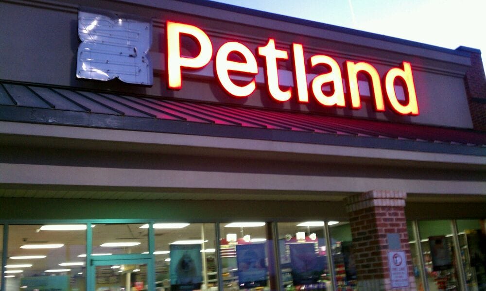 Petland of Athens CLOSED Pet Stores 1720 Epps Bridge Pkwy, Athens