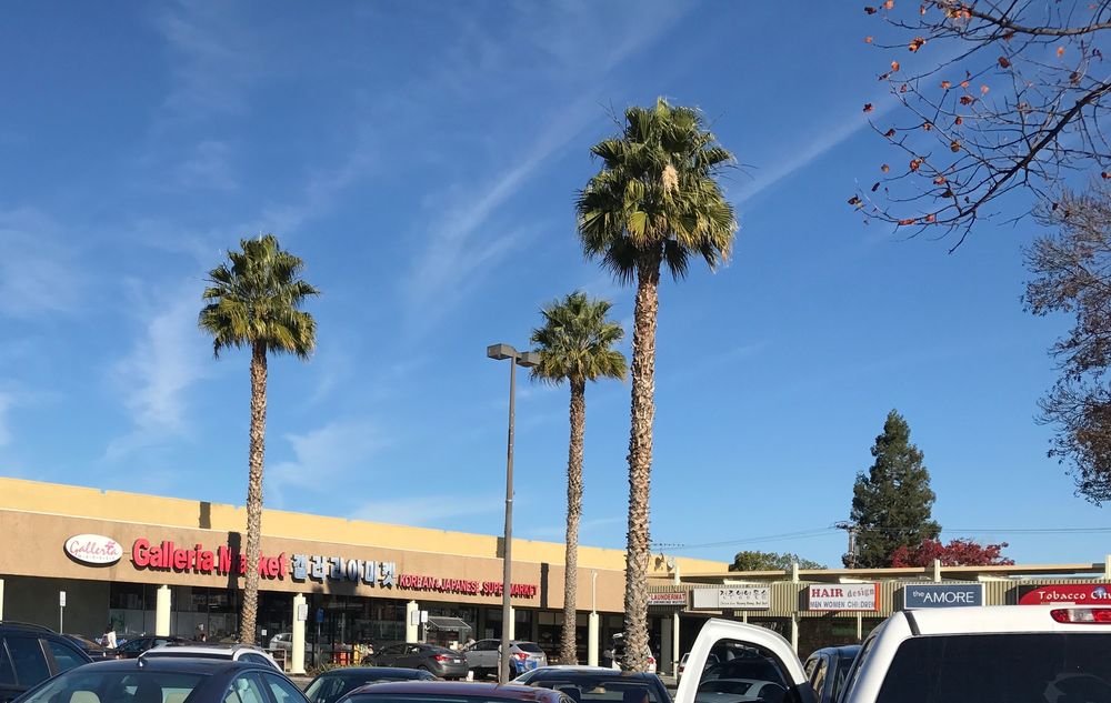 Galleria Market 114 Photos & 136 Reviews Bakeries 3531 El Camino Real, Santa Clara, CA