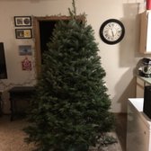 Hunter S Christmas Trees 31 Photos 24 Reviews