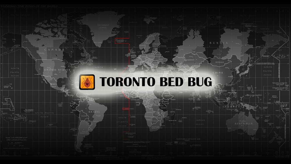 Toronto Bed Bug