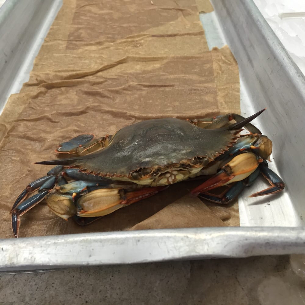 Carawan Seafood 12 Photos & 40 Reviews Seafood 5424 N Croatan Hwy