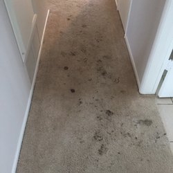 Los Angeles Carpet Cleaning 254 Photos 421 Reviews This Photo Of Los Angeles Carpet Cleaning Van Nuys Ca United States Before