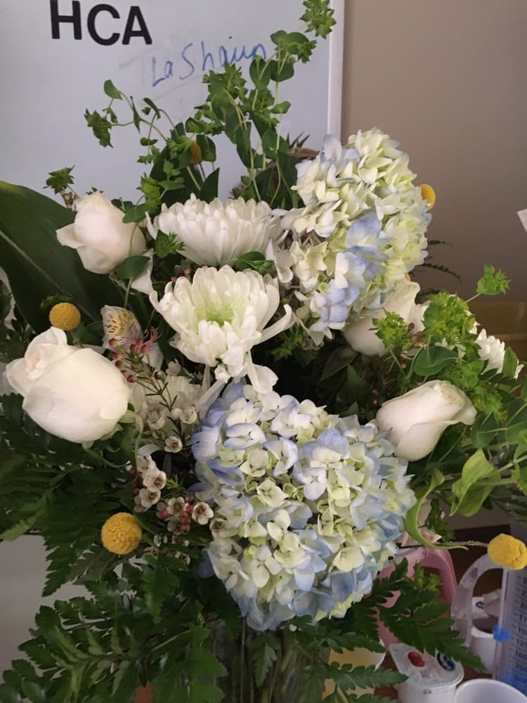 Bloom 11 Photos Florists 846 Main St Street Buffalo Ny Bloom 11 Photos Florists 846 Main St Street Buffalo Ny Phone Number Yelp