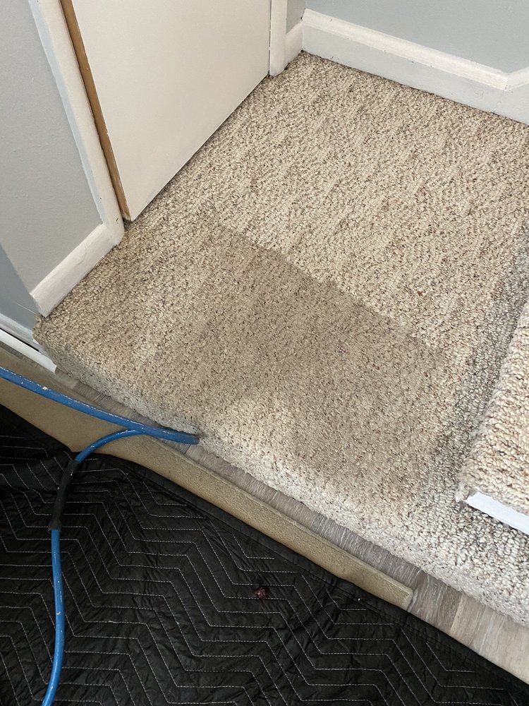 Guaranteed Clean Carpet Cleaning