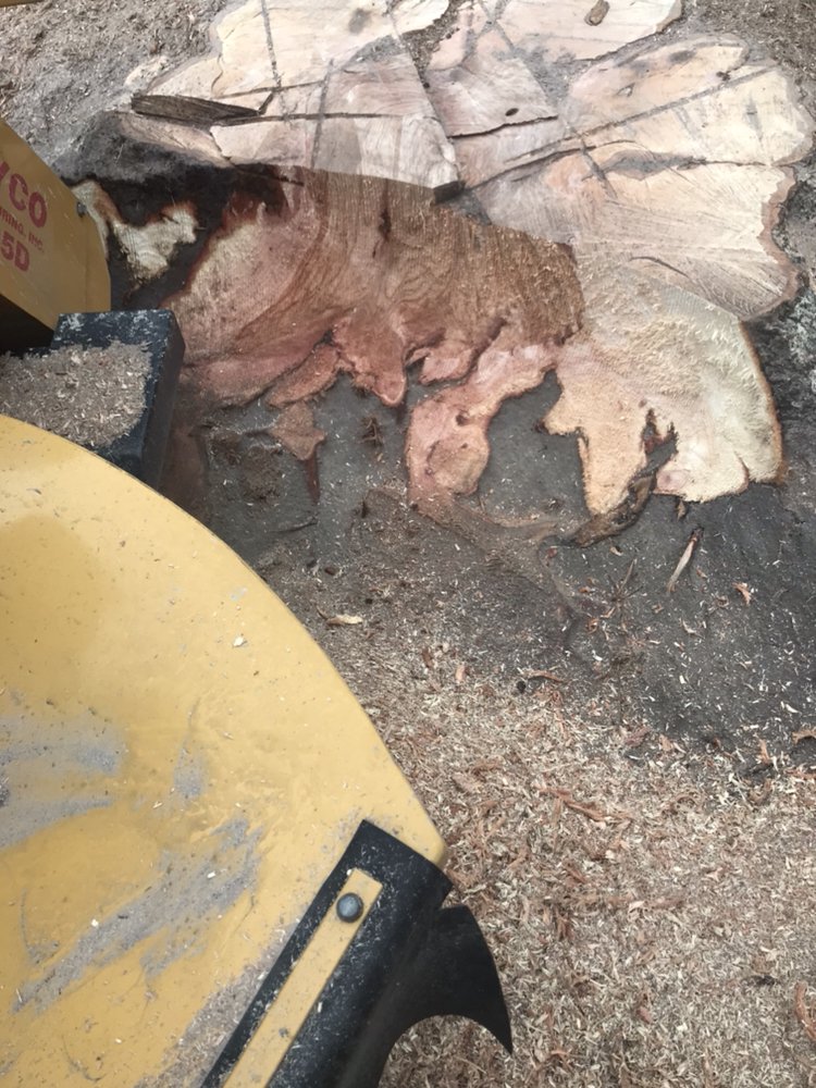 AA Stump Grinding