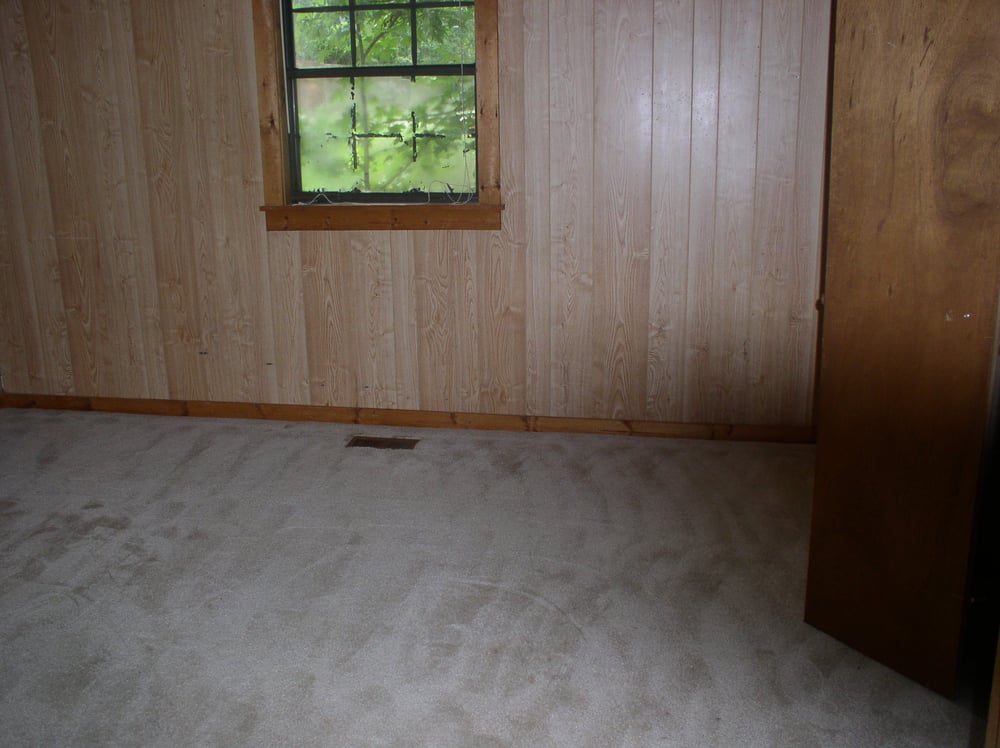 One of a Kind Custom Carpet Cleaning