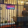 Tacos El Tio