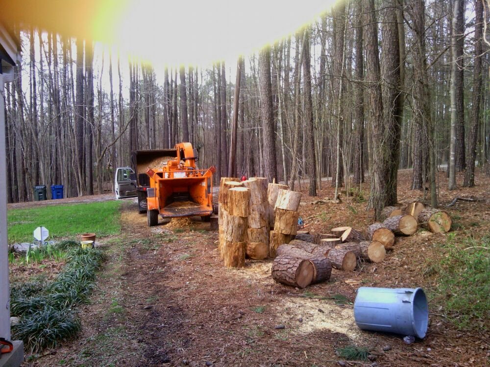 Jerry's Tree & Stump Service