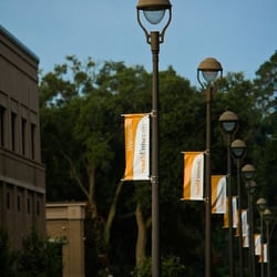 the best 10 colleges universities in savannah ga last south university georgia