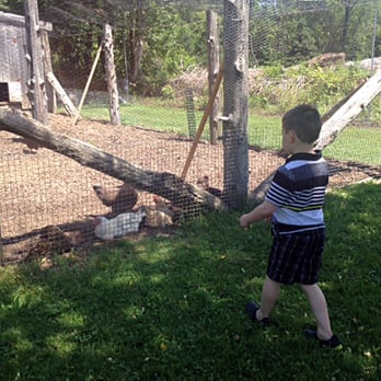 Shakespeare’s Garden - Landscape Architects - 25 Obtuse Rd S