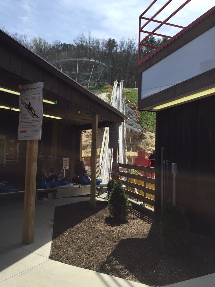 Goats On The Roof 24 Photos & 30 Reviews Amusement Parks 1341