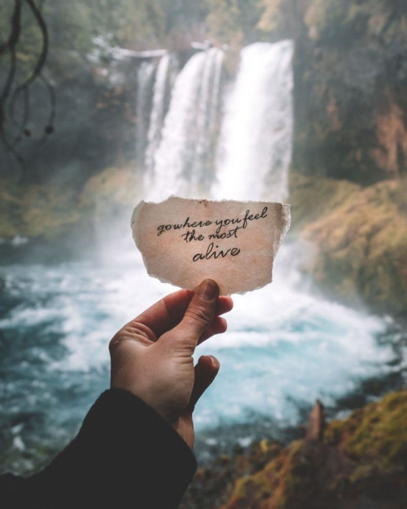 Earth Pixie Cleaning Specialists