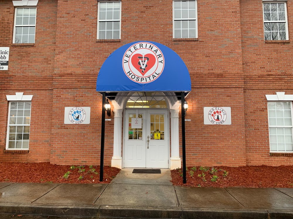 Cat Clinic of Cobb - 10 Photos & 21 Reviews - Veterinarians - 2440