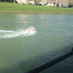 Salzburg Stadt Schiff Fahrt Tours Anton Adlgasser Weg 22