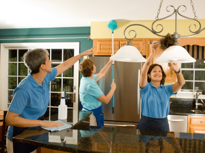Alexandria Domestic Services
