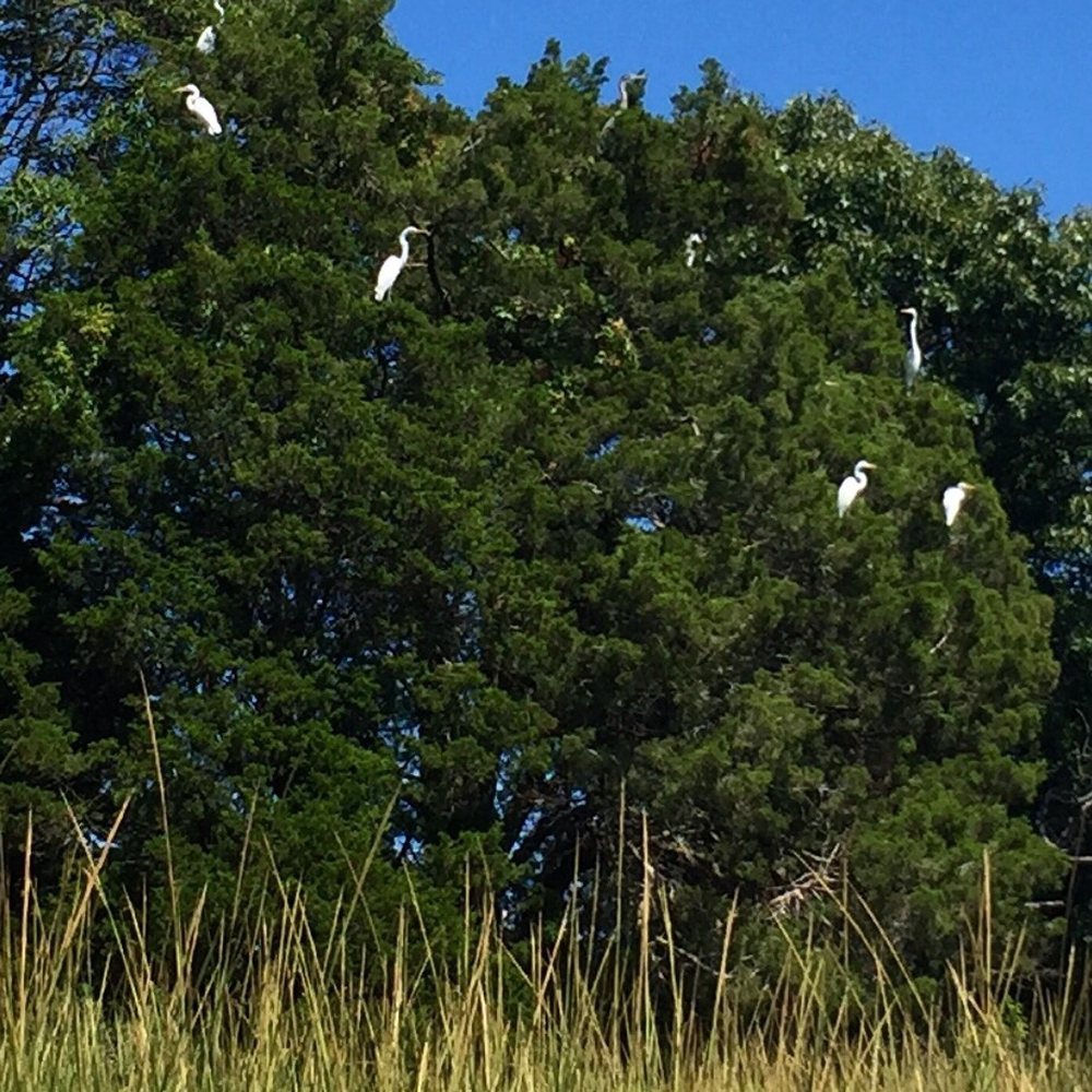 Nissequogue River Canoe & Kayak Rentals 34 Photos & 20 Reviews