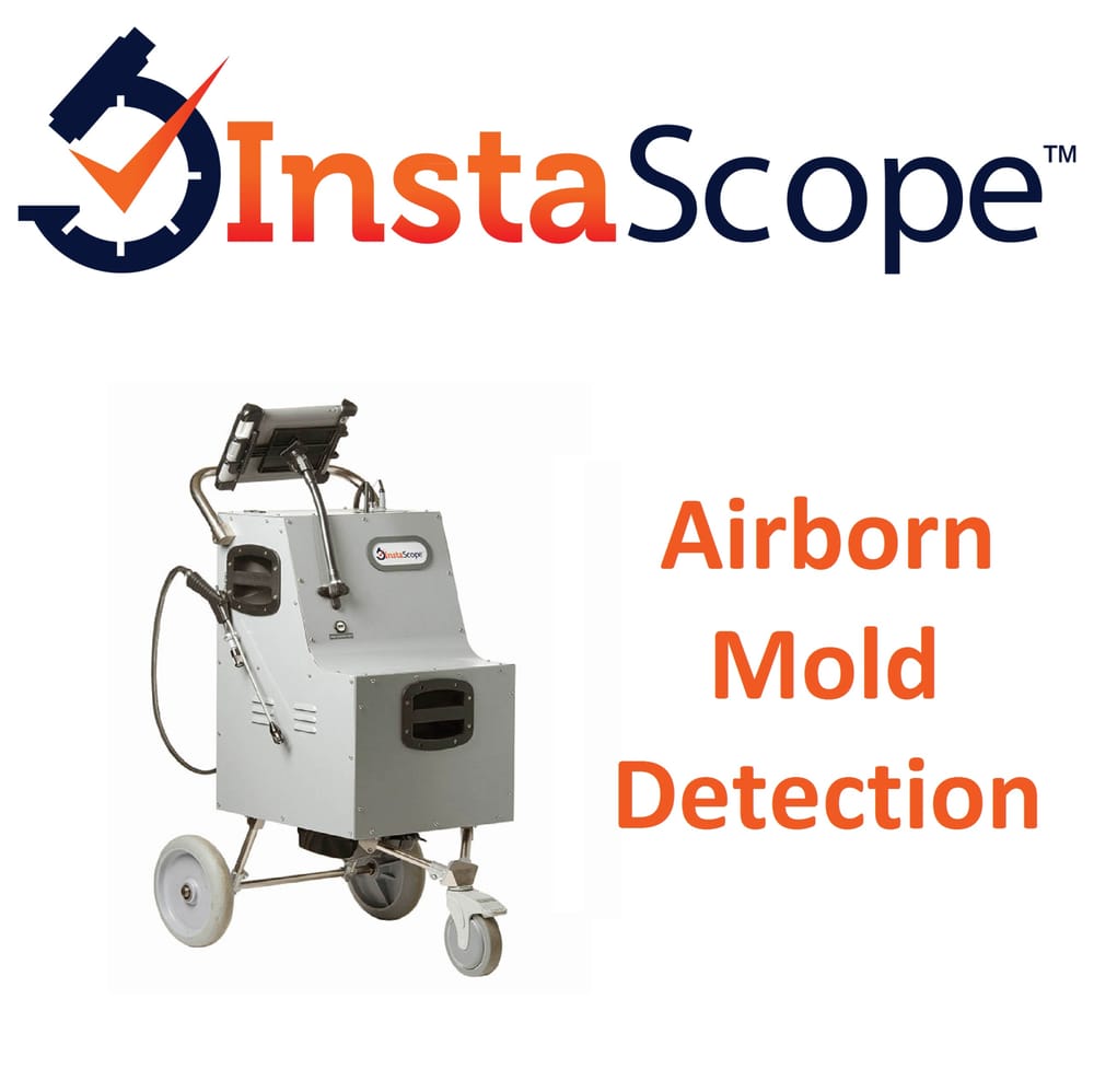 Got Mold Find Out With Our Airborn Detection Device From Photo Of Servicemaster Seattle Woodinville Wa United States Got Mold