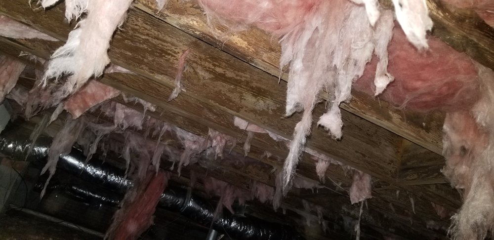 Marks Termite & Pest Control