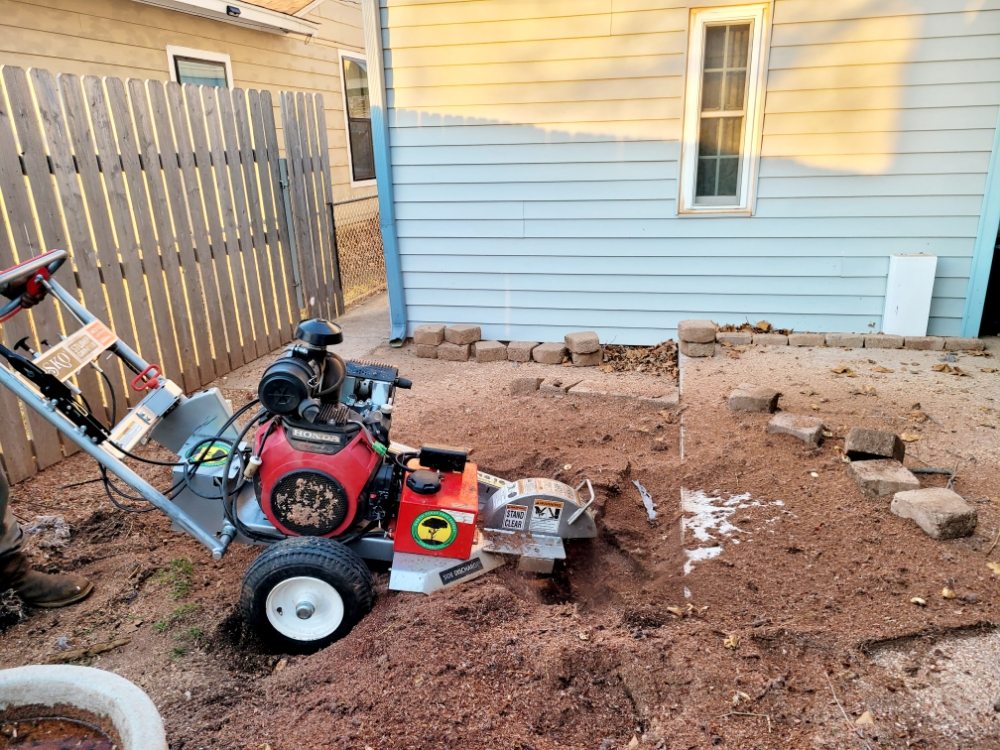 North Texas Tree Expert Company