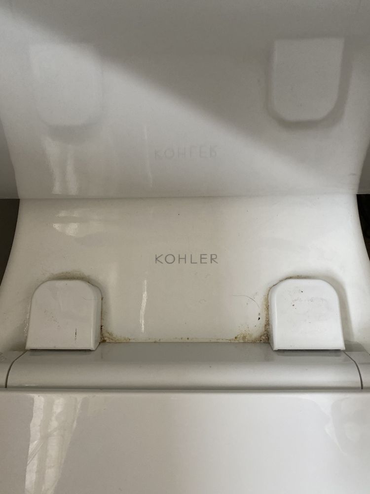 True Clean Experience