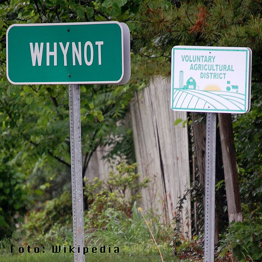 Whynot - 2019 All You Need to Know BEFORE You Go (with Photos ...