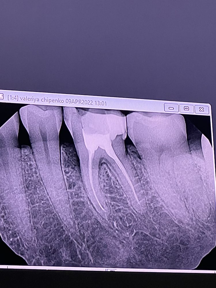 image of business Gregory Vaysleyb, DDS