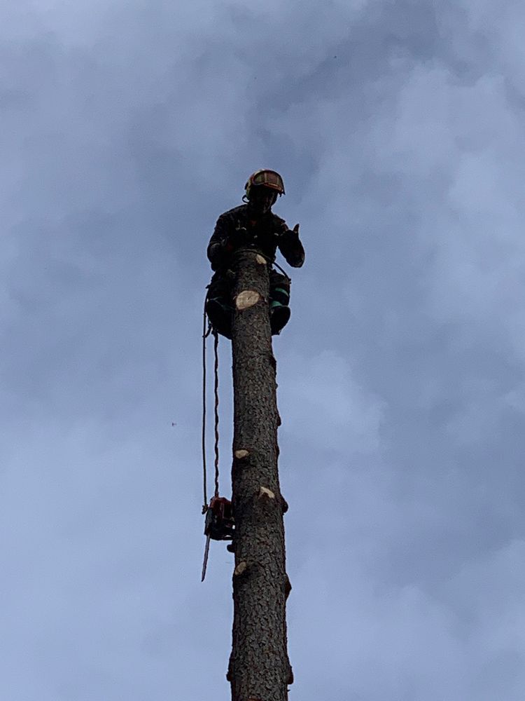 North Idaho Tree Works