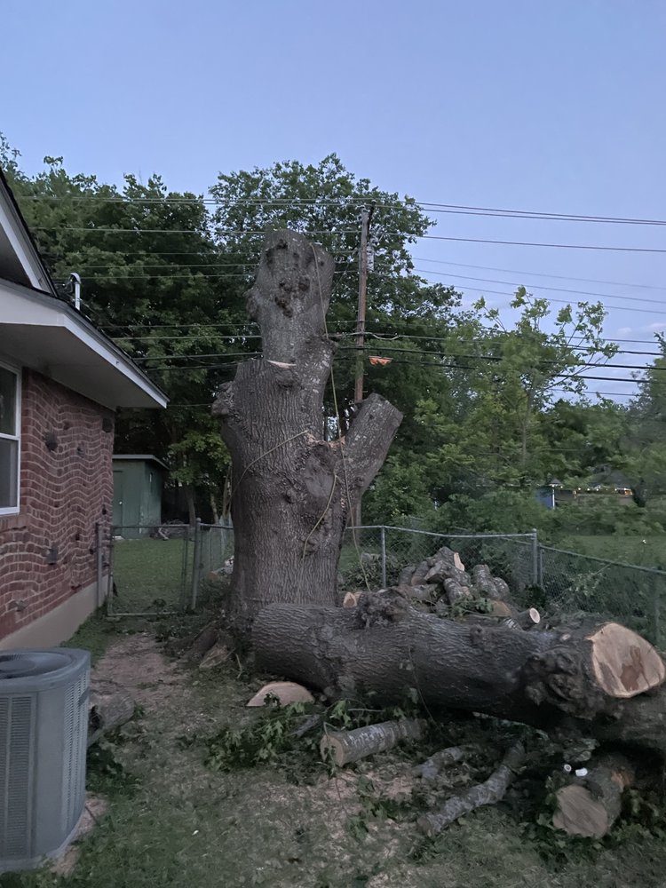 Wise Oak Tree Service