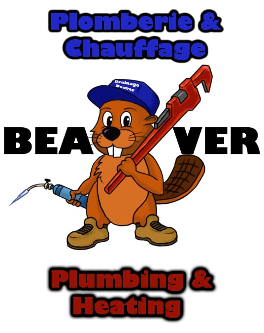 Beaver