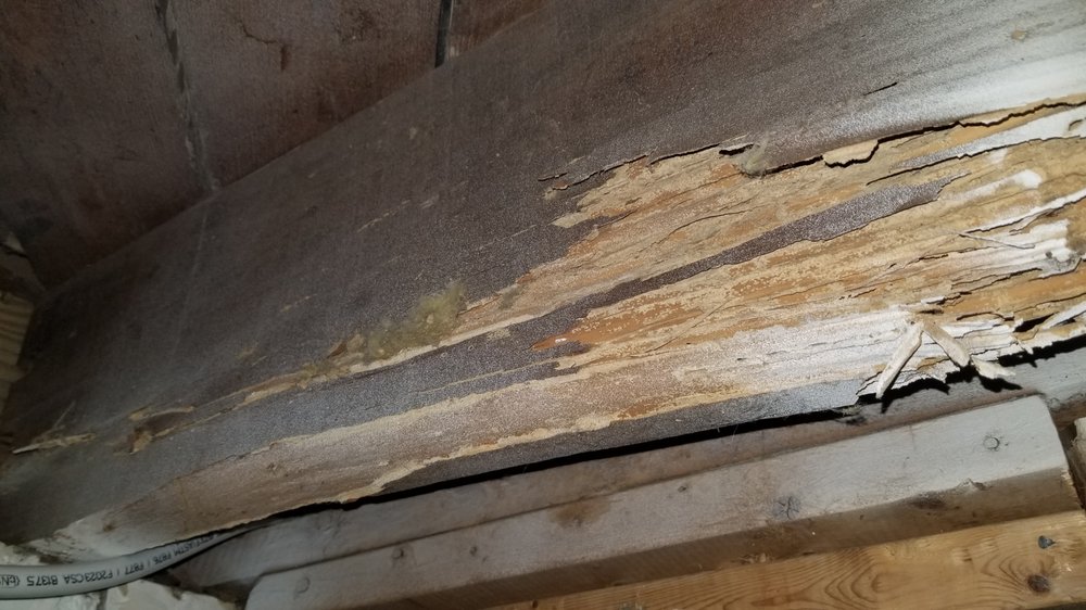 Raleigh Inspection Service