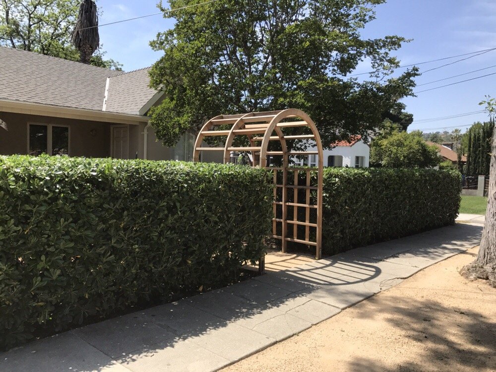 Luis Lopez Gardening