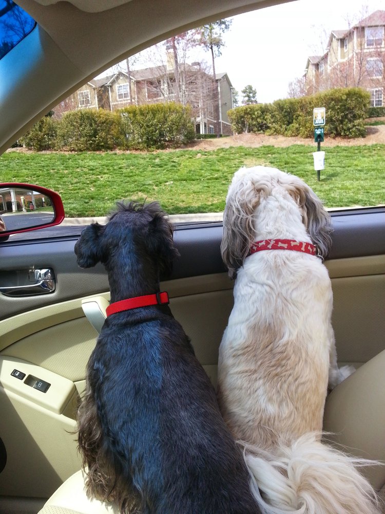 Samuel Technology Group