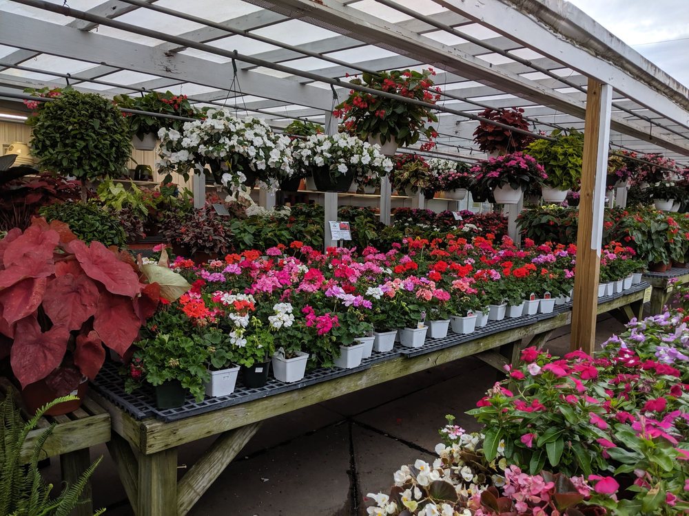 Burke Nursery & Garden Centre
