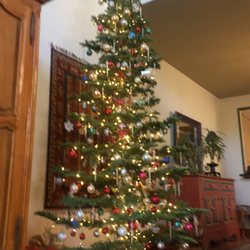 Photo Of Speer Family Farms Wonderland Christmas Trees Photo Of Speer Family Farms Wonderland Christmas Trees