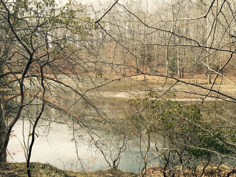 Fountainhead Regional Park 21 Photos & 47 Reviews Parks 10875