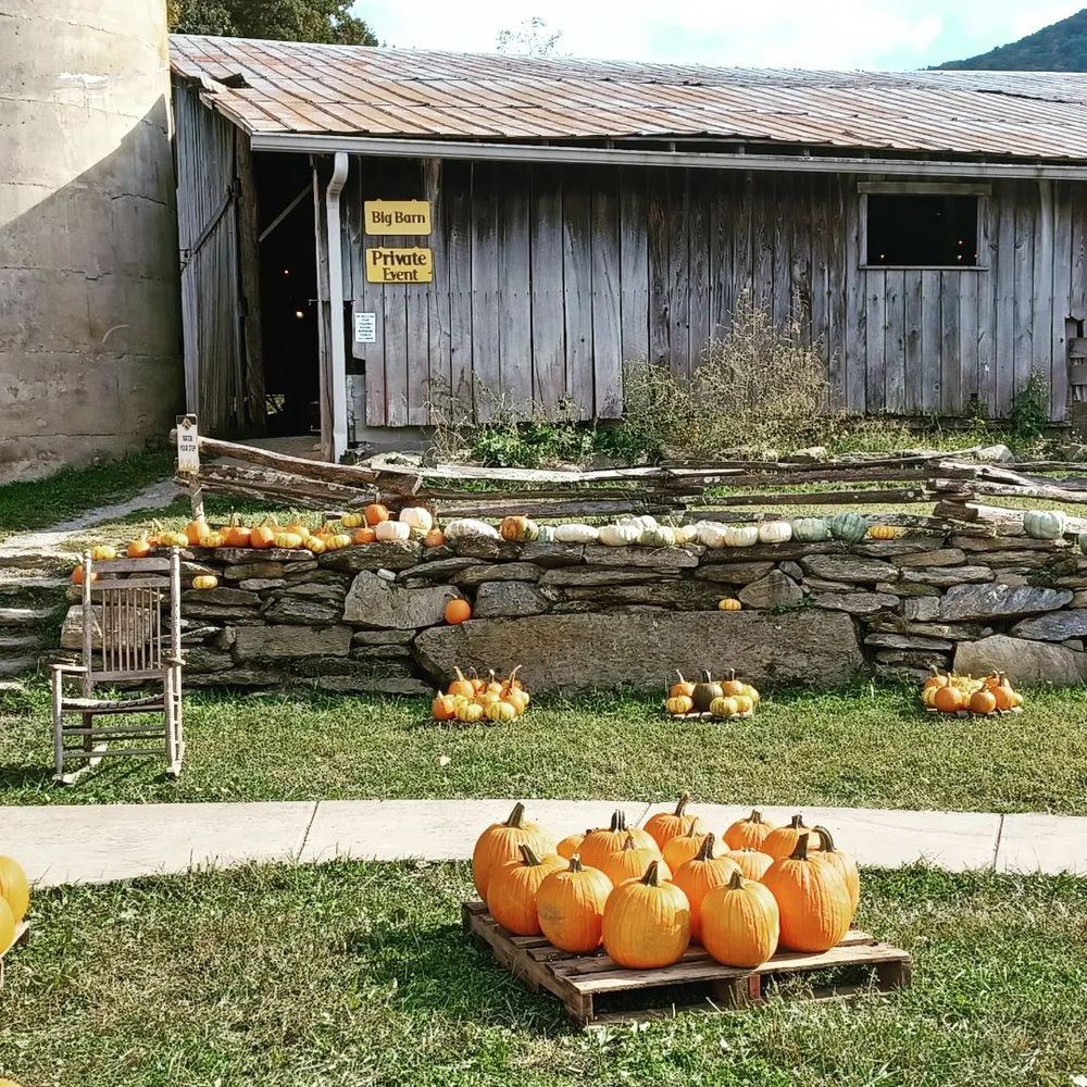 Hickory Nut Gap Farm
