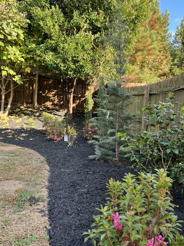 The Beacon Garden and Landscape