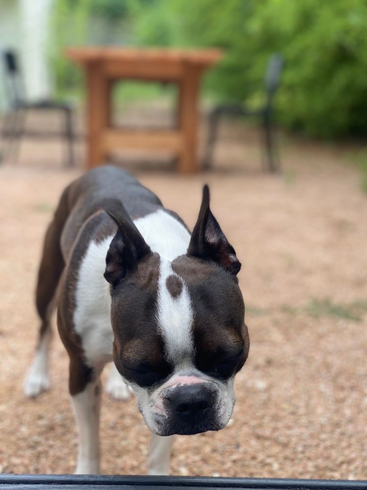 image of business This Old Wood