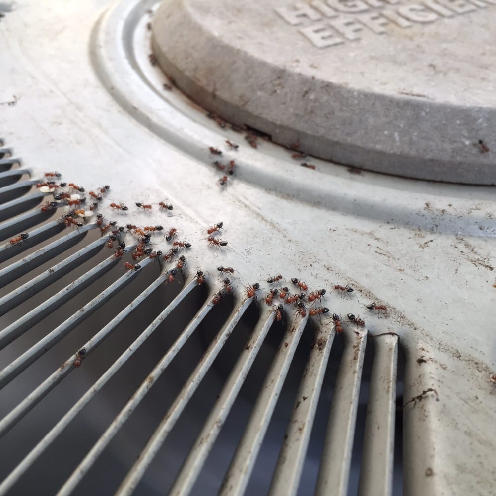 image of business Super Cool Air Conditioning & Heating