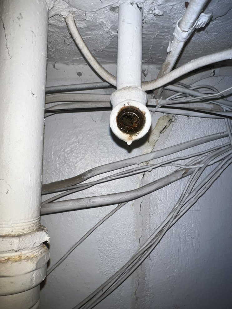 image of business Buckeye Plumbing & Excavating