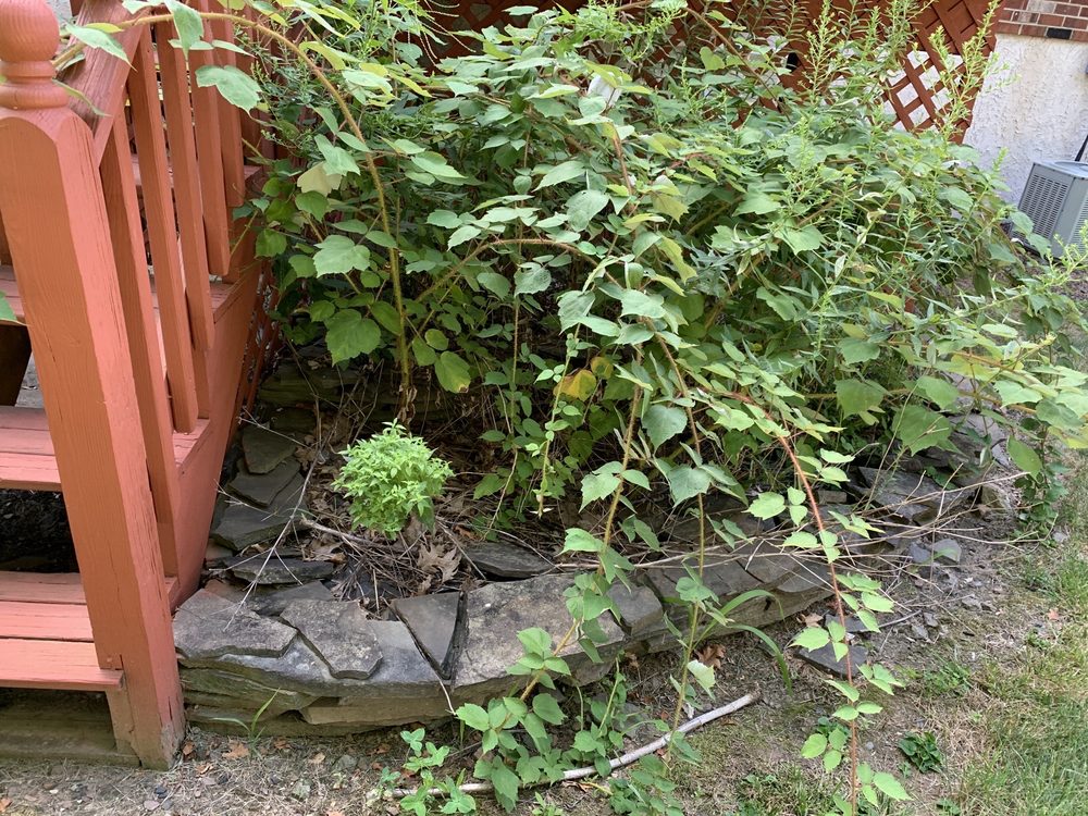 Sanchez Landscaping
