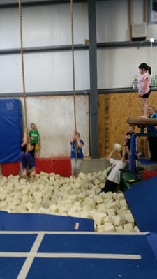 Gymsport weston