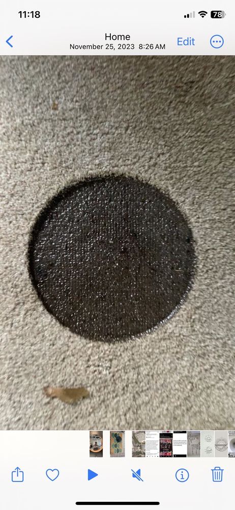 Five Star Carpet Repair and Stretching