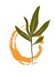 Seattle Natural Medicine