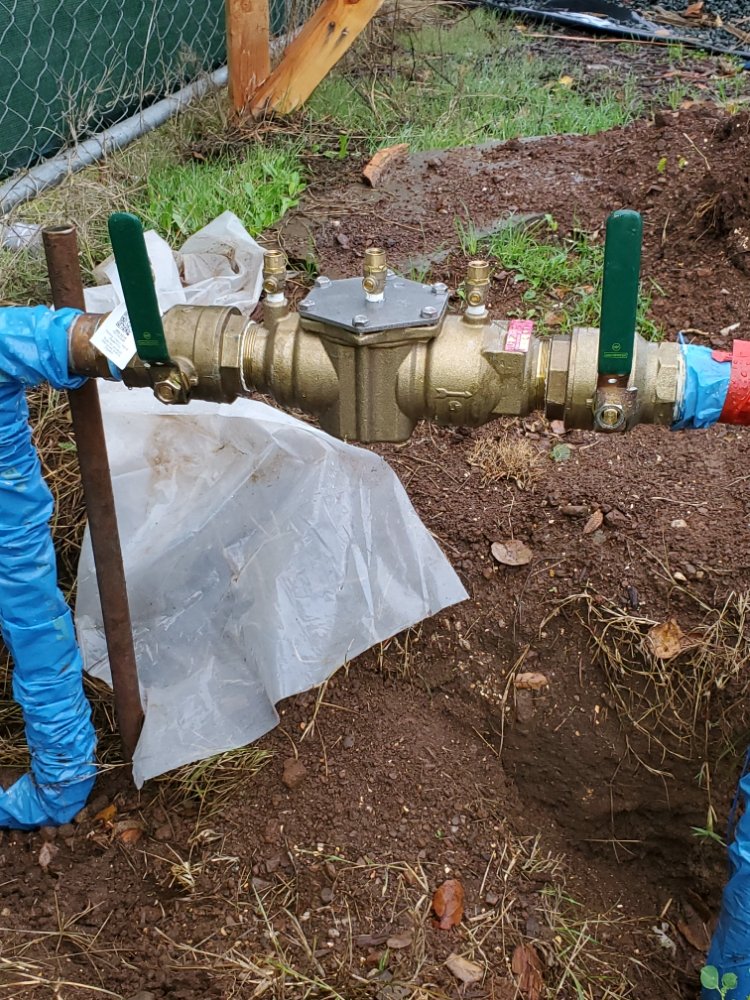 Longevity Fire Sprinklers