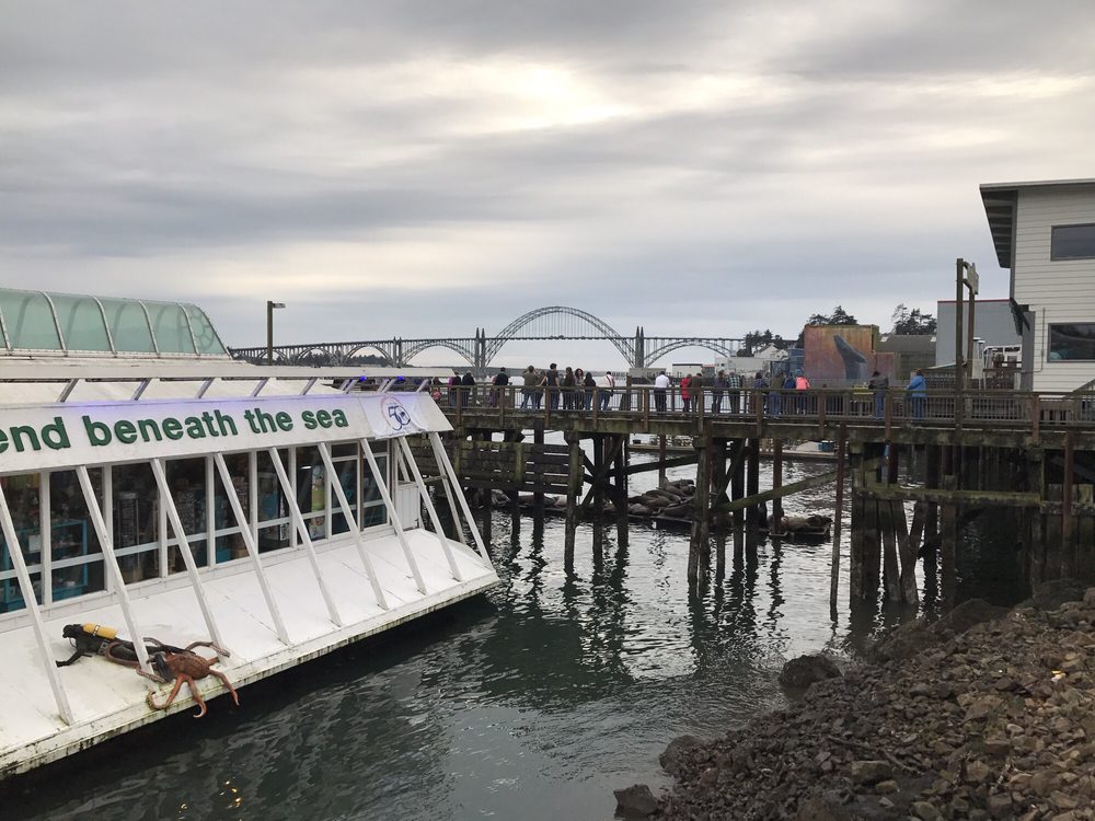 Oregon Undersea Gardens 24 Photos & 47 Reviews Amusement Parks