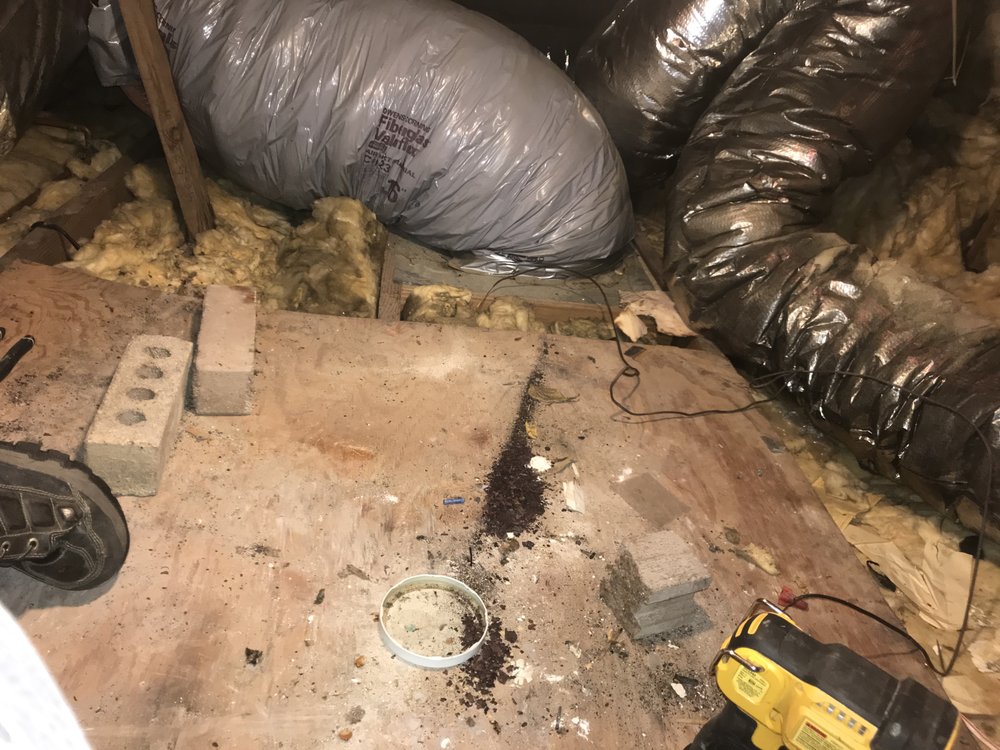 Polar Bear AC & Heating